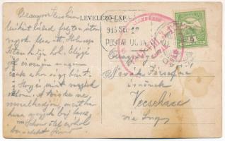 1915 Mehádia, Mehadia; Fűrésztelep. Brauch A. fia kiadása / Sägewerk / sawmill + "VECSEHÁZA POS...