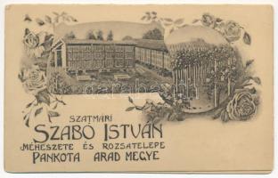 Pankota, Pancota; Szatmári Szabó István szőlőbirtokos borospincéje, méhészete és rózsatelepe. 2-oldalas kinyitható reklám / wine cellar, apiary and rose farm advertisement. 2-tiled Art Nouveau, floral non-postcard card (hajtásnál szakadt / bent til broken)