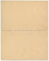 Pankota, Pancota; Szatmári Szabó István szőlőbirtokos borospincéje, méhészete és rózsatelepe. 2-olda...