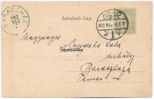 1902 Arad, Pénzügyi palota. Szecessziós magyar zászlós montázs / palace of finance. Art Nouveau lith...