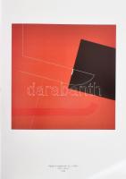 Konok. Kiállítási katalógus. Bp., 1995, Ludwig Múzeum. Több nyelven. Benne a művész, Konok Tamás műv...