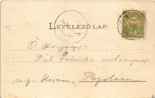 1903 Sepsiszentgyörgy, Sfantu Gheorghe; Szabadság tér. gere István kiadása / square (EB)