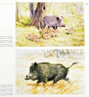 Muray R(óbert): Témám a természet. A művész, Muray Róbert (1931-2009) grafikus- és festőművész által...