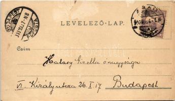 1900 Arad, Minorita templom, vár főkapuja, Maros-part, Lyceum, Arad-Csanádi egy. Vasutak palotája, l...