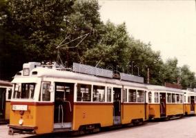 10db színes fotó villamosainkról