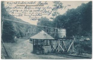 1914 Nagytarnafürdő, Vagas (Tarna Mare); kút. Klein Áron kiadása / mineral water well (EK)