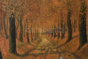 Szepesi K jelzéssel, XX. sz első fele: Erdei út. Olaj, vászon, javított. Dekoratív, korabeli fakeret...