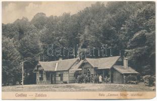 Feketehalom, Zeiden, Codlea; Baie Carmen Silva / Waldbad-Bassin / Erdei fürdő. H. Christel / forest bath, spa (EM)