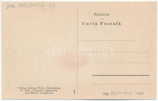 Homoródfürdő, Homoród-fürdő, Baile Homorod; Honterusbad, Birkenhof mit Musikpavillon / Vendéglő kert...