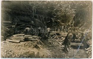 1930 Nadrág, Nadrag, Steinacker; faszállító iparvasút / industrial railway transporting timber. photo (EB)