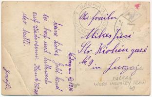 1930 Nadrág, Nadrag, Steinacker; faszállító iparvasút / industrial railway transporting timber. phot...