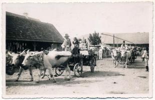 1941 Székelyudvarhely, Odorheiu Secuiesc; esküvöi menet ökörszekerekkel. Kováts István fényképész / wedding ceremony with oxen carts. photo