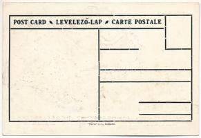 Az úgynevezett demarkációs vonal a román-cseh-szerb imperialisták kezében. Patria rt. kiadása / Hung...