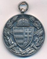 1929. "Magyar Háborús emlékérem kardokkal, sisakkal" ezüstözött, jelzett bronz kitüntetés ...