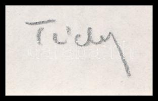 Tichy Gyula (1879-1920): Piou-piou, nyomat, paszpartuban, 13×9 cm