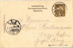 1902 PANNÓNIA Magyar-horvát tengeri gőzhajózási részvénytársaság. Kunstanstalt Brüder Pick / Hungari...