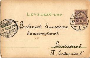 1901 Sopron, Oedenburg; vásár, piac, Karl Pollak üzlete. L.F. Kummert No. 66. / Jahrmarkt (EK)