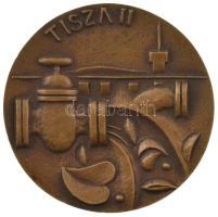 DN Tisza II / A Tisza II KISZ védnökségben végzett munkáért bronz emlékérem (75mm) T:AU kis ph