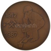 1987. "75 éves a Csepeli acélgyártás - Csepel Művek Vasmű / 1912-1987" bronz emlékérem (70mm) T:AU kis ph