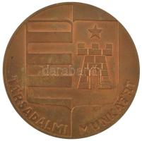 DN Tata / Társadalmi munkáért bronz emlékérem (50mm) T:AU patina