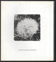 Csiky Tibor: Fotómunkák/Photowork 1973 - 1975. Bp., 2007, Vintage Galéria. Gazdag képanyaggal illusz...