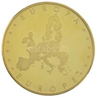 DN "Románia / Európa" aranyozott, ezüstözött fém emlékérem (40mm) T:PP ujjlenyomat