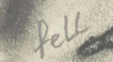 feLugossy László (1947-): Női akt. Szén, papír, jelezve balra lent: feLL. 29x21. Üvegezett keretben....