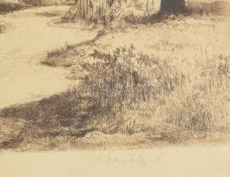 Komjáti-Wanyerka Gyula (1894-1958): Erdei út. Rézkarc, papír, jelzett, 38×29 cm. Üvegezett fakeretbe...