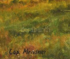 Cop. Meissner jelzéssel: Erdei napos táj. Olaj, fa. Dekoratív fakeretben, 46×60,5 cm