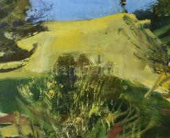 Scholz Erik (1926-1995): Napfényes táj. Olaj, farost, jelezve balra lent, üvegezett fakeretben, 60×8...