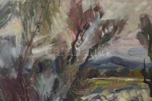 Tenkács Tibor (1913-1998): Tiszapart (Szomorú időben). Olaj, farost, jelzett. Hátoldalán autográf fe...