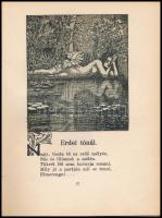 Migray József: Magasban. Nagy Sándorék rajzaival, ebből 14 egész oldalas, szecessziós rajz. Bp., 191...