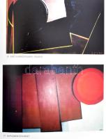 Vasarely múzeum kiállítási katalógusai 21-40: Hollán Ernő, Wellisch Tehel Judit, Kuchta Klára, Balla...