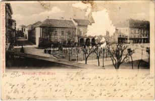 1901 Temesvár, Timisoara; Erőd utca. Polatsek kiadása / street (felszíni sérülés / surface damage)