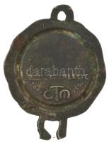 DN "Ez a föld melyen annyiszor apáink vére folyt" feliratú fém irredenta ereklye füllel, h...