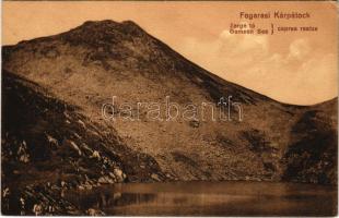 1915 Fogarasi-havasok (Fogarasi Kárpátok), Fogarascher Karpathen, Muntii Fagarasului; Zerge-tó. Thierfeld D. kiadása / Gemsen See / Caprea reatza / lake (EK)