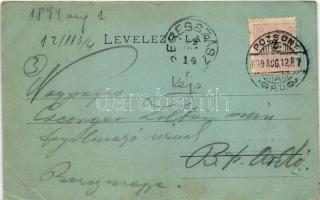 1899 (Vorläufer) Pozsony, Pressburg, Bratislava; rakpart, vár / quay, castle (ázott / wet damage)