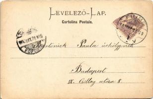 1900 Fiume, Rijeka; In punto franco / port, steamship (EK)