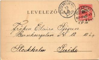 1907 Budapest, Dunai látkép, Grand Hotel Hungaria (C.J. Burger). Klösz Gy. és fia Art Nouveau, flora...