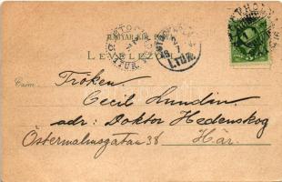 1902 Budapest, Deák szobor, Honvéd emlékmű, látkép a királyi várral. Druck Regel & Krug Art Nouv...