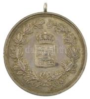 Német Birodalom ~1913. "Schleswig-Holstein emlékérem" 
II. Ernő Günther herceg 50. szület...