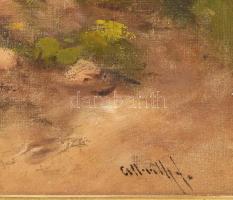 Alberth Ferenc (1883-1959): Napfényes táj. Olaj, vászon. Javított. Dekoratív, kissé sérült fakeretbe...