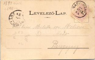 1898 (Vorläufer) Nagybánya, Baia Mare; Fő tér északi oldala / main square (fa)