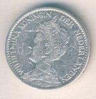 Hollandia 1915. 1G Ag "Wilhelmina" T:3