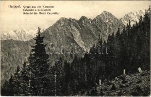 1915 Erdélyi-Kárpátok, Siebenbürgische Karpathen; Haitasel, Üdvözlet a havasokról. Fleissig Jakab és fia kiadása / mountains