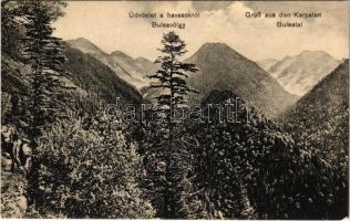 1915 Fogarasi-havasok (Fogarasi Kárpátok), Fogarascher Karpathen, Muntii Fagarasului; Bulea völgy. Fleissig Jakab kiadása / Buleatal