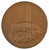 Borsos Miklós (1906-1990) DN Fa és Papiripari Szövetkezetek Szövetsége kétoldalas, öntött bronz emlékérem (89mm) T:AU