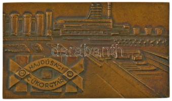 1979. Hajdúsági Cukorgyár / Kaba 1976-1979 - Hajdúsági Cukrownia kétoldalas bronz emlékplakett (76,5x132mm) T:AU