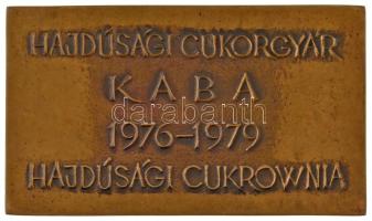 1979. "Hajdúsági Cukorgyár / Kaba 1976-1979 - Hajdúsági Cukrownia" kétoldalas bronz emlékp...