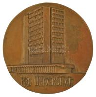 DN Debreceni Orvostudományi Egyetem / Pro Universitate kétoldalas, öntött bronz plakett (104mm) T:AU patina